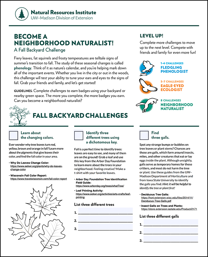 An image of the fall backyard challenges sheet