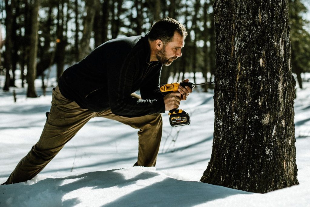 Jeremy Solin drills a hole into a maple tree while standing in snow