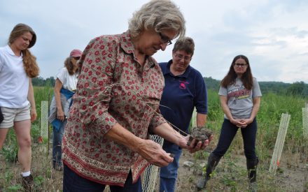 Reasons and Resources for Engaging Women Farmland Owners in Conservation