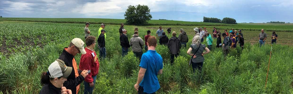 A group of people meeting in a field