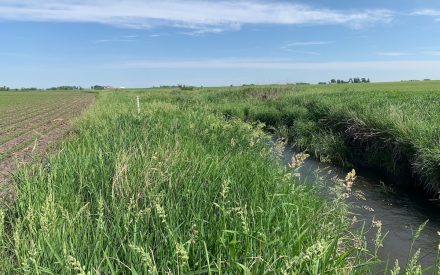How An Iowa County Installed Hundreds of Edge-of-Field Practices in Just Three Years