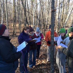 Master Naturalist training participants learning about tree identification.