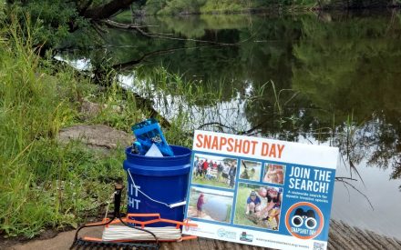 Take action against invasive species this August on Snapshot Day 2023!
