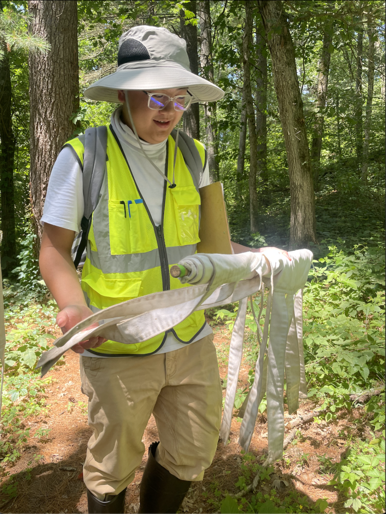 Researchers holding up canvas sheet for tick observing in the woods