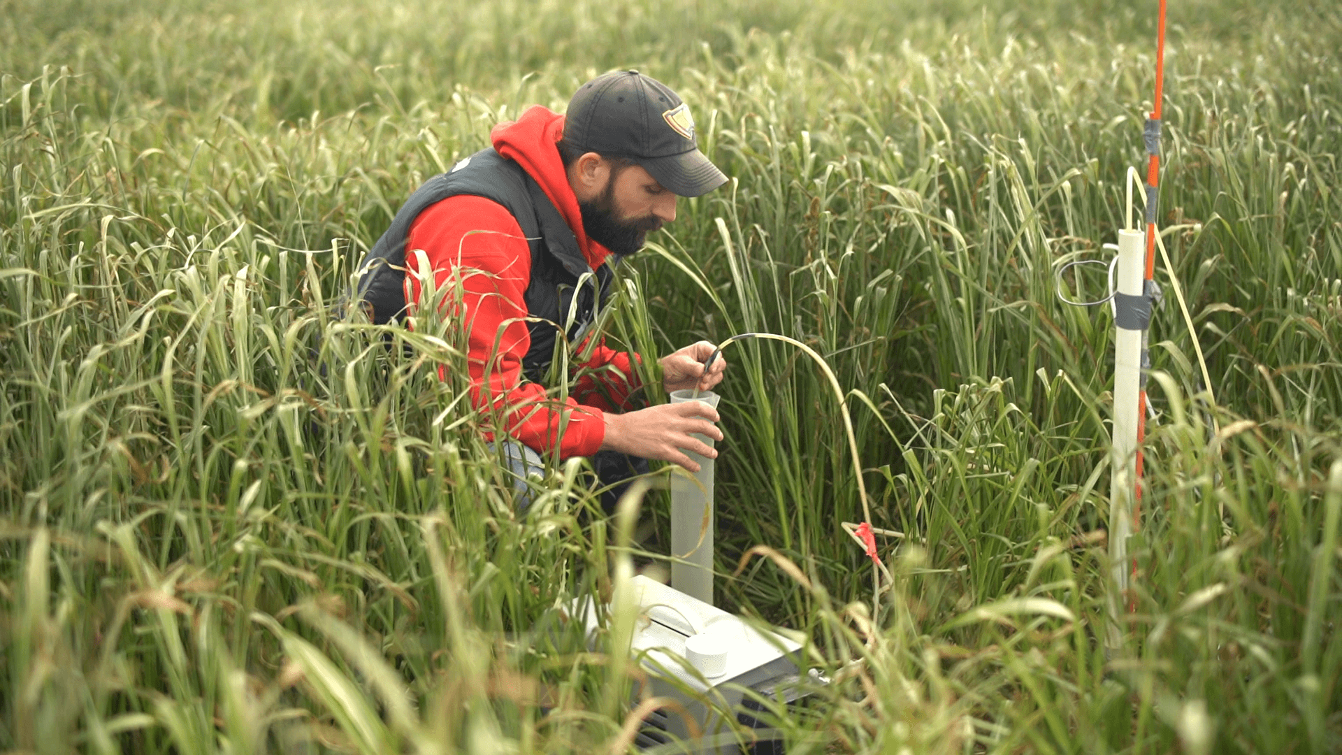 Man kneeling to take water sample in grassy field