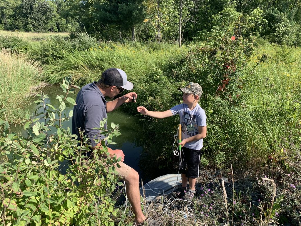 Father and young son investigate a snail along the shore of a pond.