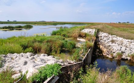 What Are State Revolving Funds and Why Should Watershed Leaders Care?