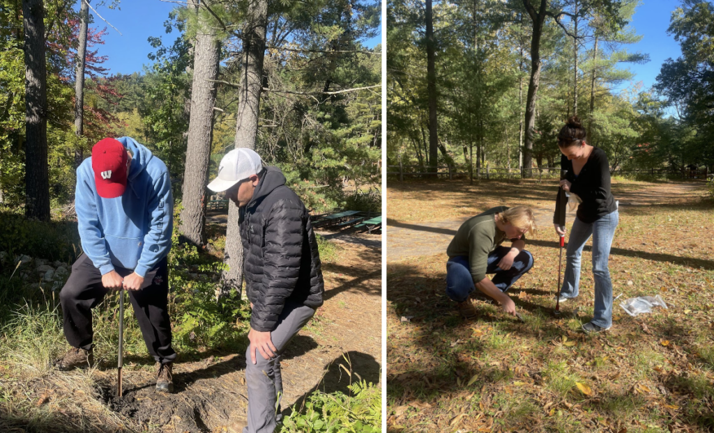 Men and women taking soil cores in the woods