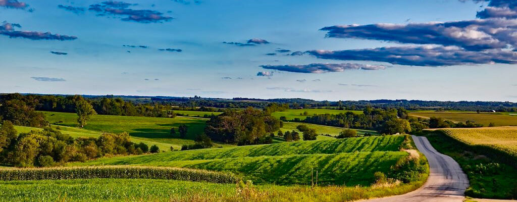 A dirt road leading off into a landscape of green rolling hills and bright blue sky