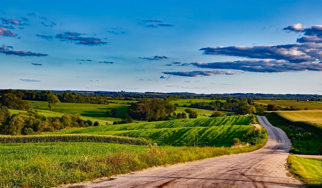 A dirt road leading off into a landscape of green rolling hills and bright blue sky