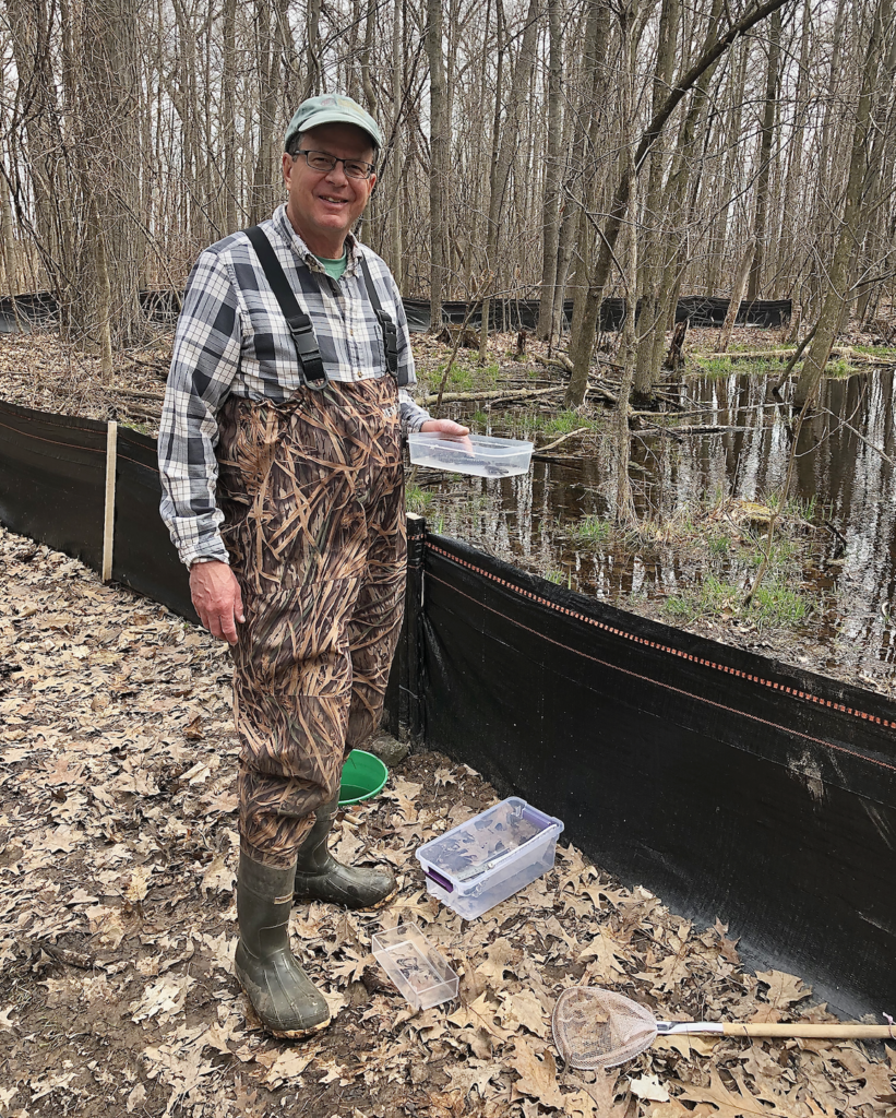 Man stands next to fence and pond while collecting salamander samples