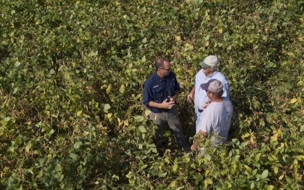 Survey of Agricultural Lenders Reveals Opportunities for Collaboration with Conservation Professionals