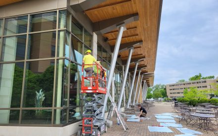 Workers install bird-safe windows at Dejope