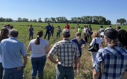 New Curriculum to Boost Farmers’ Capacities to Engage Peers about Conservation