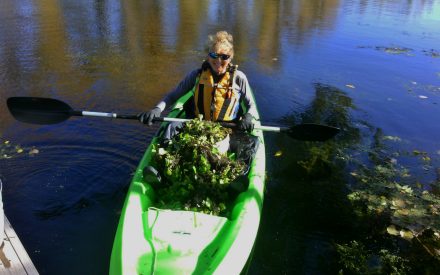 Eyes on the Water: How Snapshot Day Is Turning Wisconsinites into Guardians of Our Waters