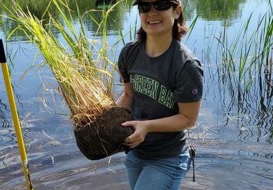 Rooted in Respect: How Amy Carrozzino-Lyon Is Reviving Wetlands and Relationships Through Wild Rice