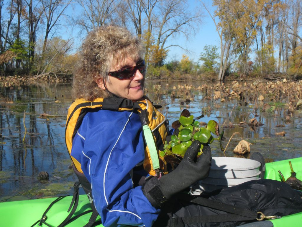 A women in a green kayak holding a water hyacinth with rubber gloves