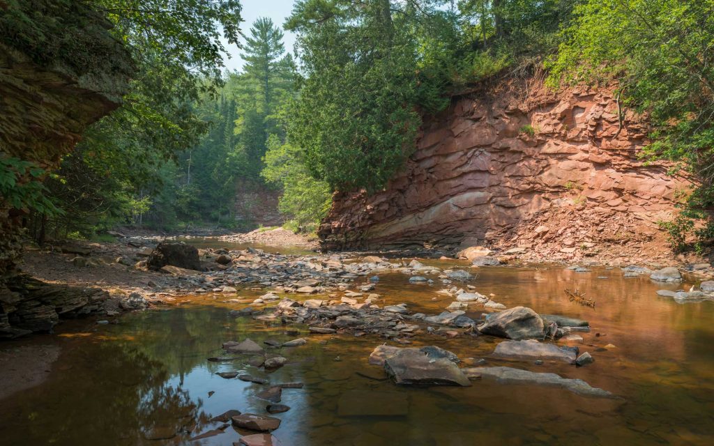 A stream flowing through a rocky area of a forest