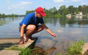 A man squatting down on a pier and removing an invasive snail from a like