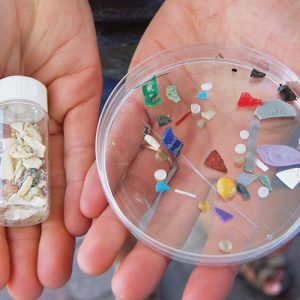Two hands holding out plastic containers filled with micro plastics removed from the lake
