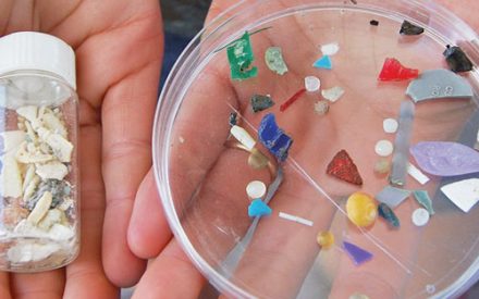Emerging Contaminant Outreach