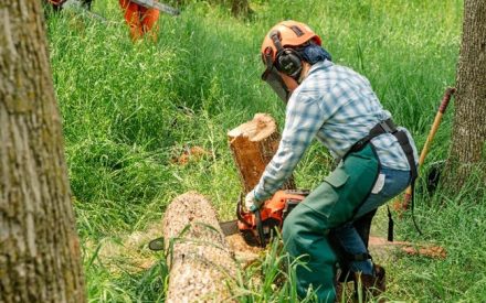 Empowering Women Through Chainsaw Safety Classes