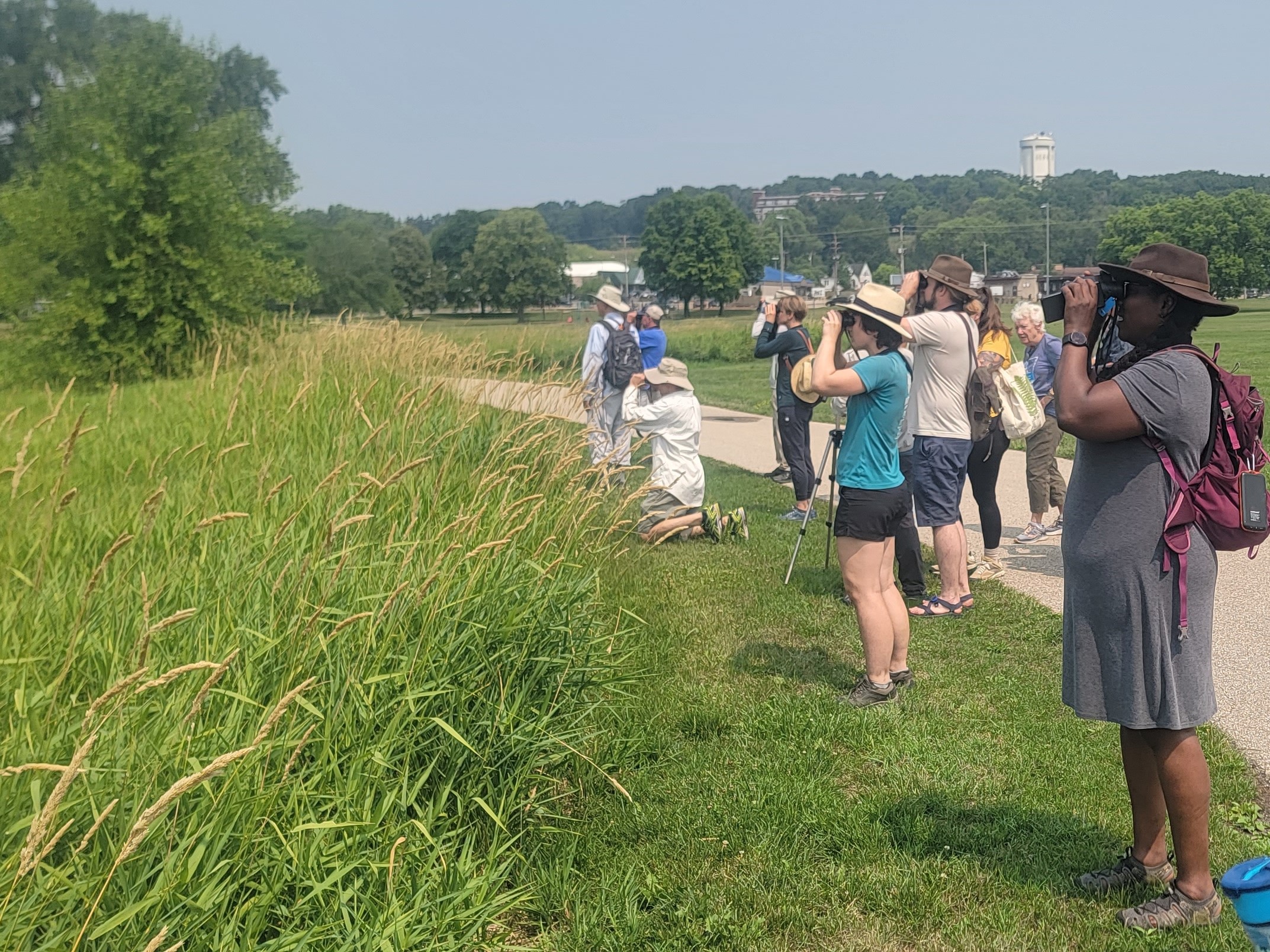 People standing on the edge of a forest with binoculars looking for birds.