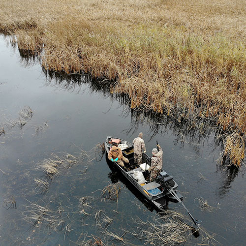 Two men in a boat planting wild rice