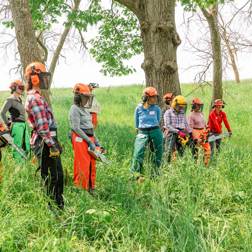 A group of women woodland land owners holding chain saws in a wooded area