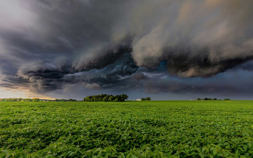 Very dark storm clouds above a bright green field