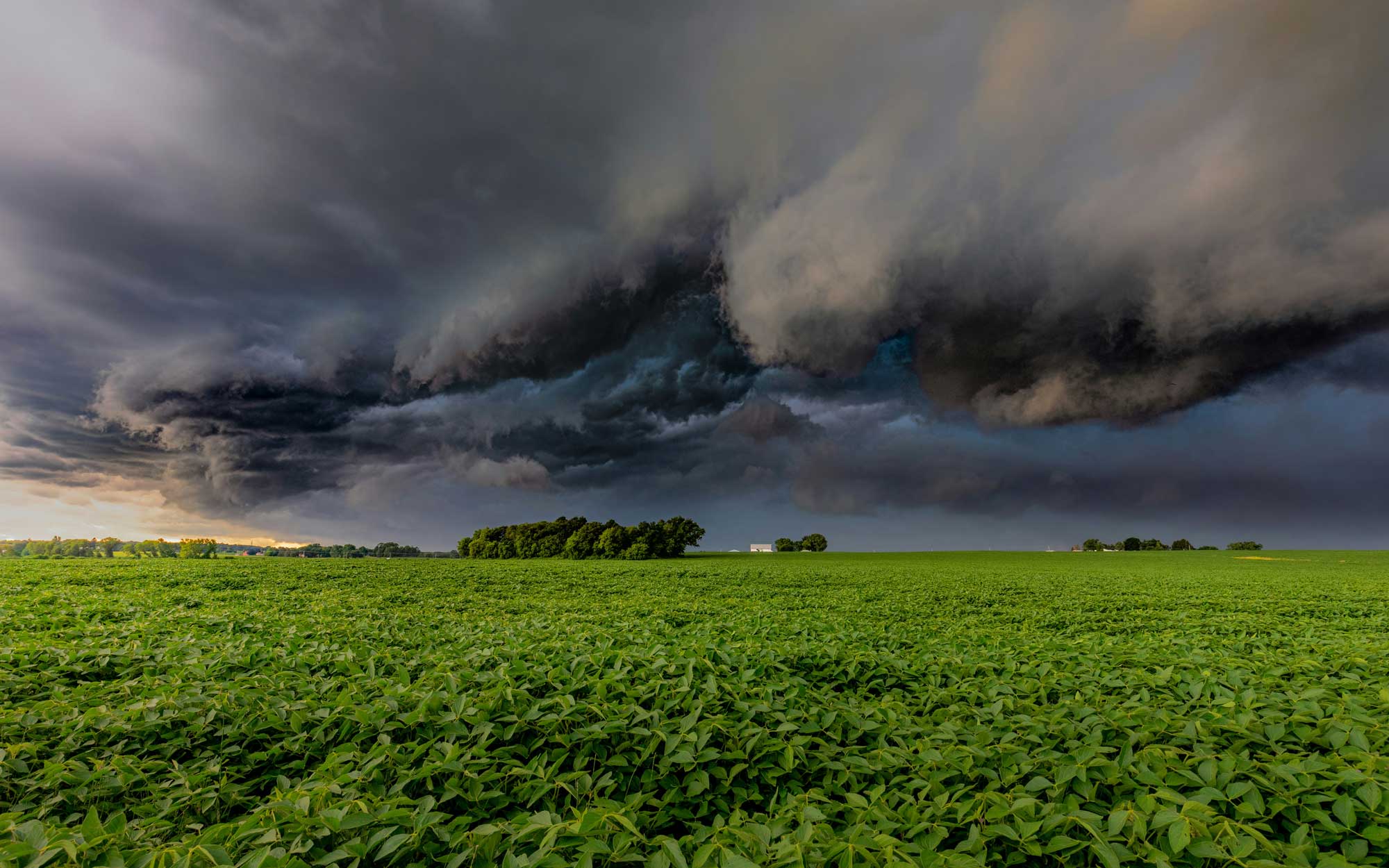 Very dark storm clouds above a bright green field