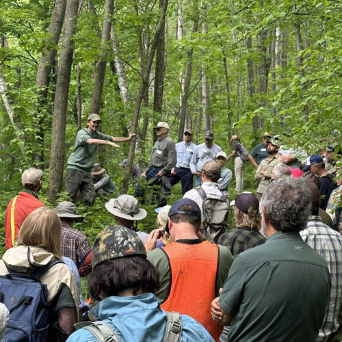 A group of people learning about forest management in a forerst
