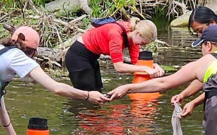 Freshwater Scholars Program