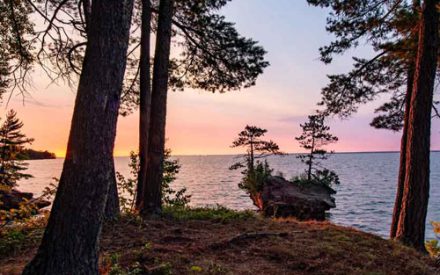 Lake Superior Collaborative