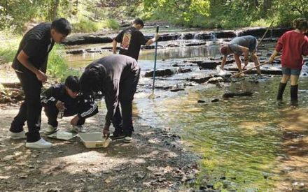 Lower Fox River Monitoring Program