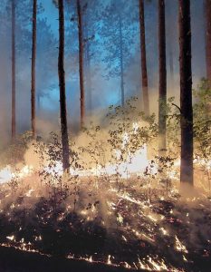 Tallgrass Prairie and Oak Savanna Fire Science Consortium
