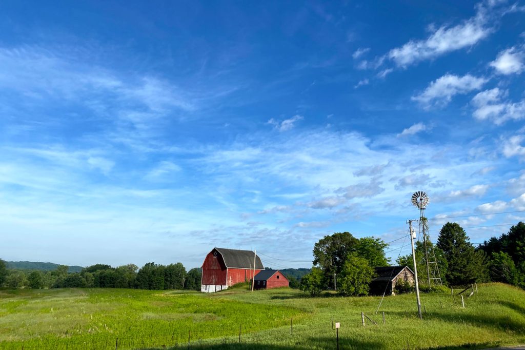 A red barn in a grass pasture with a bright blue sky behind it