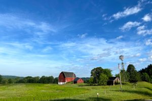 Center for Land Use Education