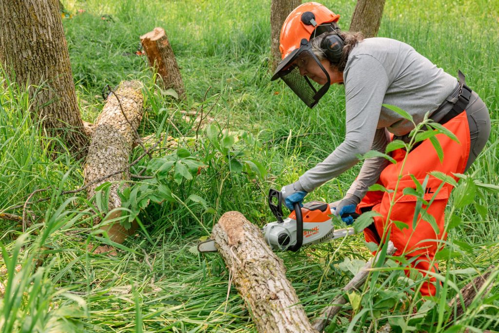 A women felling a tree with a chainsaw while wearing personal protective equipment