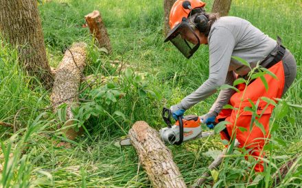 Empowering Women Through Chainsaw Safety Classes