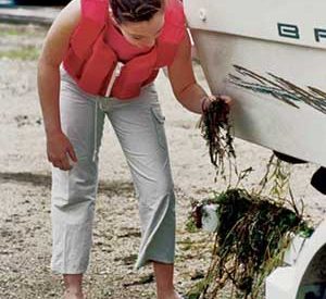 Clean Boats, Clean Waters