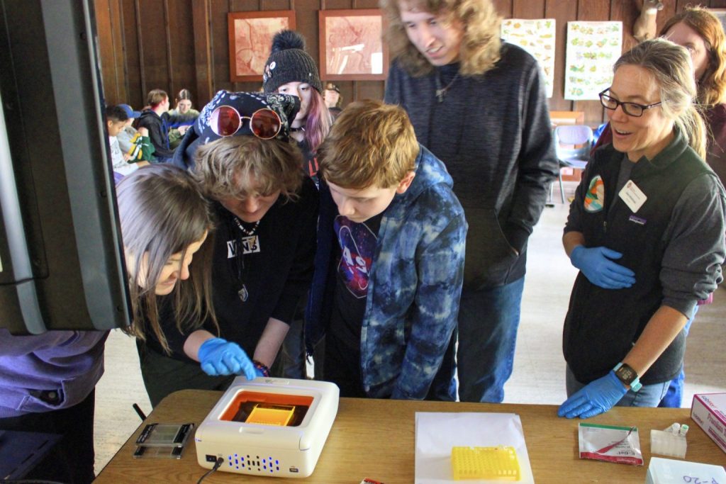 A group of school age students leaning over and looking at a DNA analysis