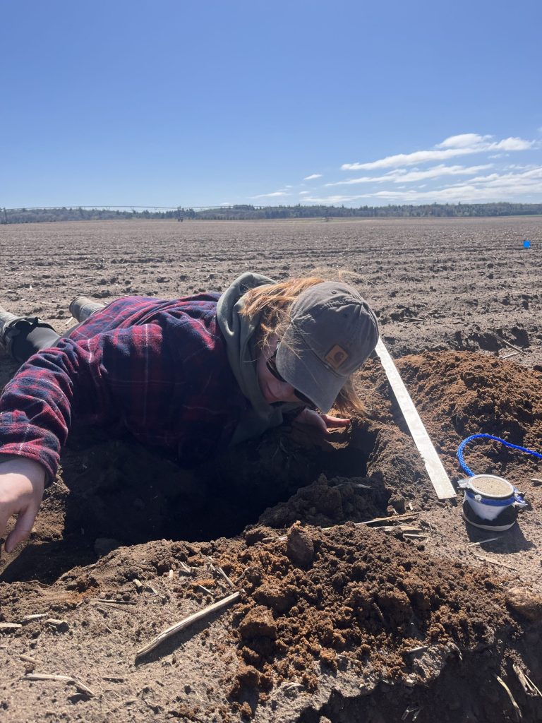 Anna Mitchell laying down in an agricultural field taking a soil sample