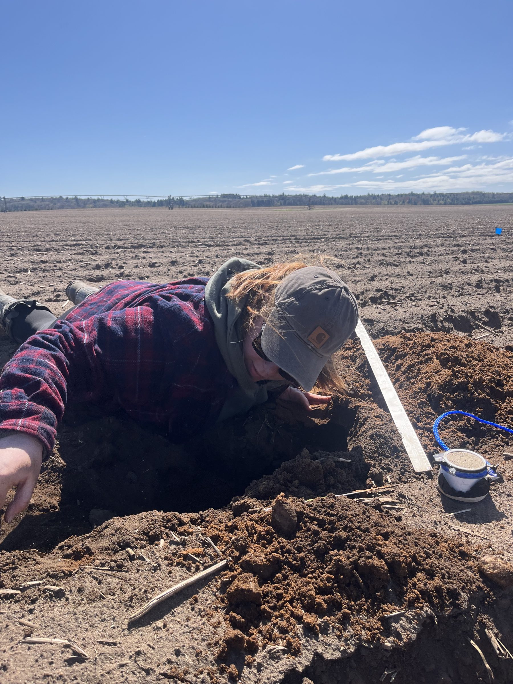 Anna Mitchell taking a soil sample in an agricultural field. She is laying in the field.
