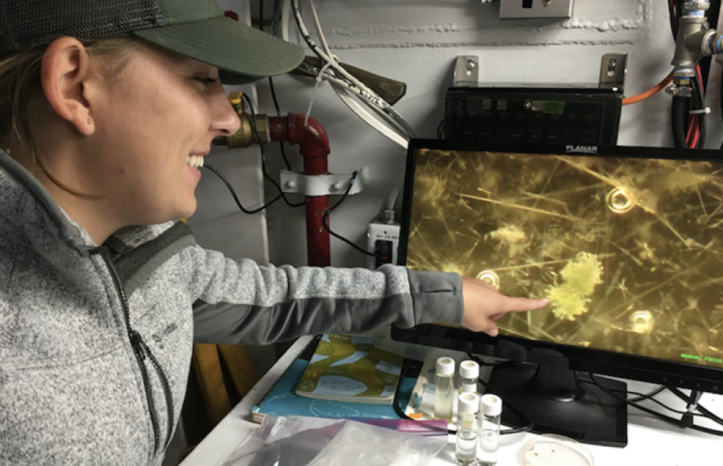 A woman pointing at a screen showing harmful algal blooms