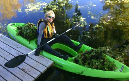 Eyes on the Water: How Snapshot Day Is Turning Wisconsinites into Guardians of Our Waters