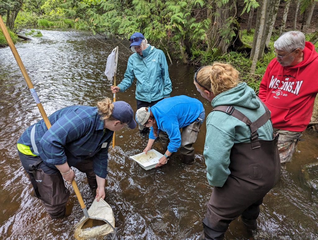A group of people sampling water in a stream