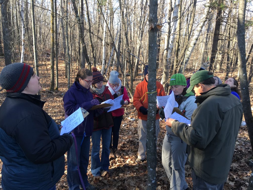 A group of people standing around identifying trees in the winter