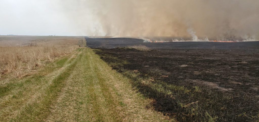 An image of a controlled burn taking place over a grassland landscape. A firefighter can be seen far off in the distance.