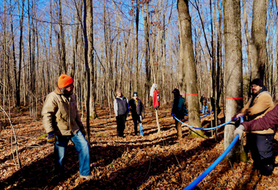 Tapping Into Wisconsin’s Maple Momentum